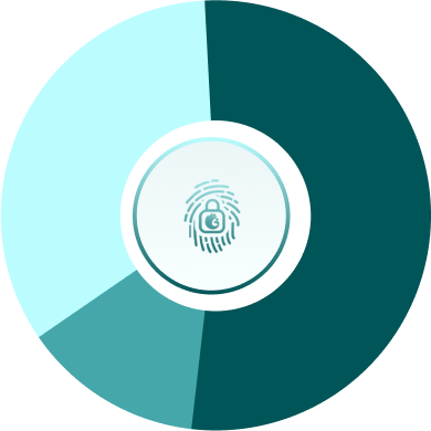 tokenomics